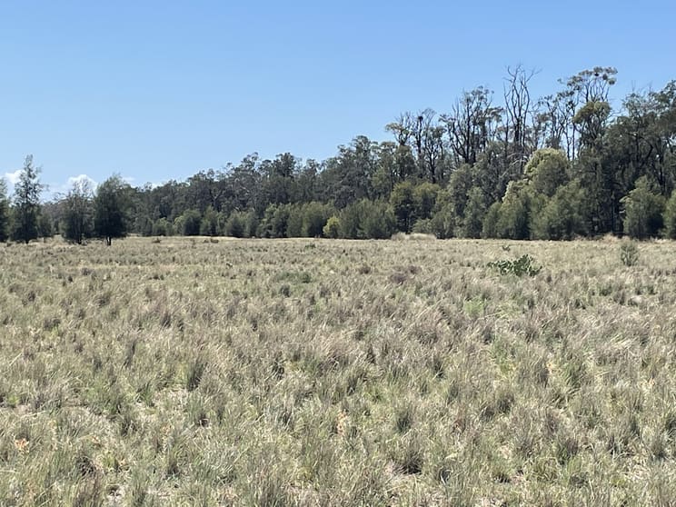 Click to view all images 1349 Gwabegar Road Cuttabri NSW 2388 - Image 3