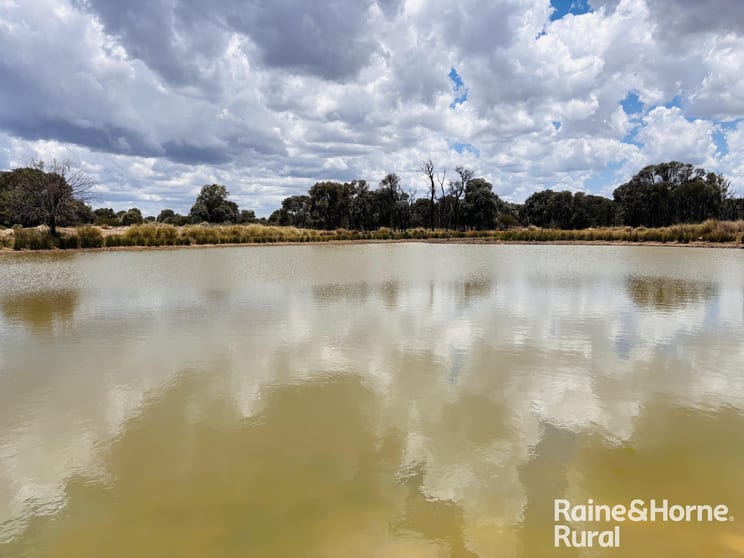 Click to view all images 330 Burrow Downs Road Injune QLD 4454 - Image 2