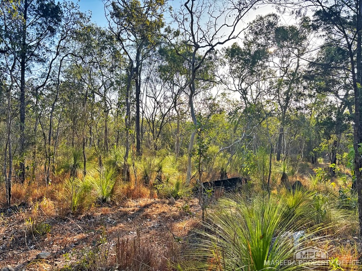 Click to view all images Lot 174 Fantin Road Koah QLD 4881 - Image 3