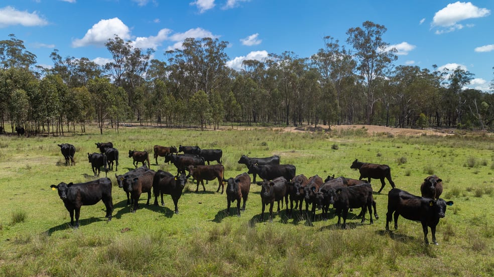 'Hutton' 570 Hazeldene Road Thanes Creek QLD 4370 - Image 3