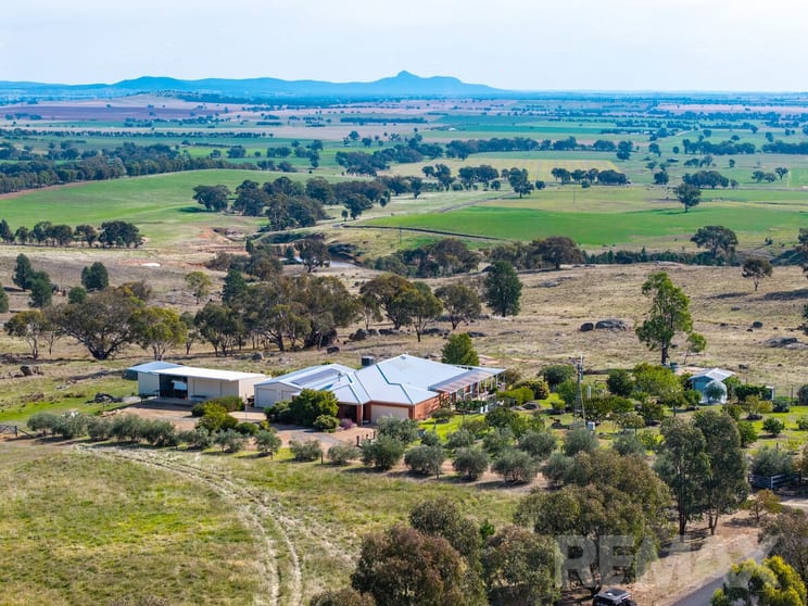 6054 Holbrook Road Maxwell NSW 2650 - Image 2