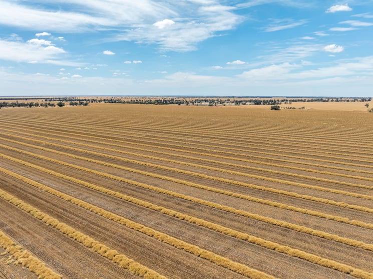 278 Daenke Road Jerilderie NSW 2716 - Image 3