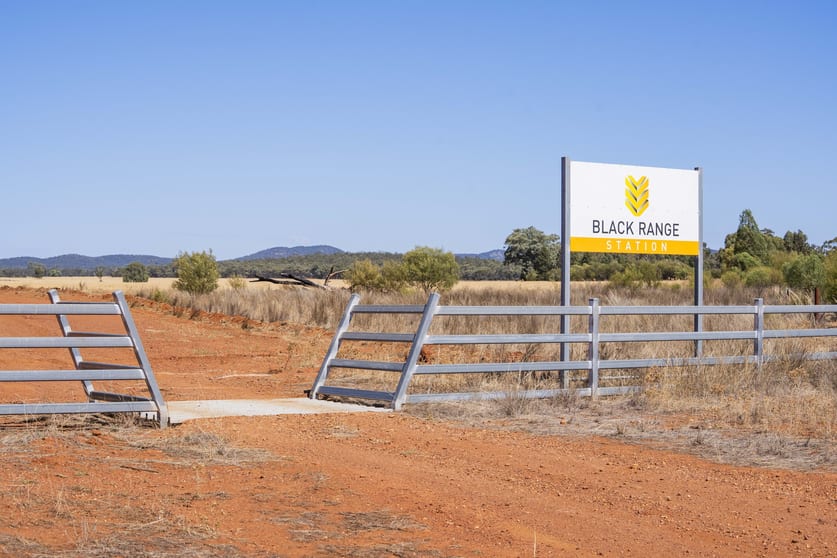 Click to view all images 2880 Tallebung Road Condobolin NSW 2877 - Image 3
