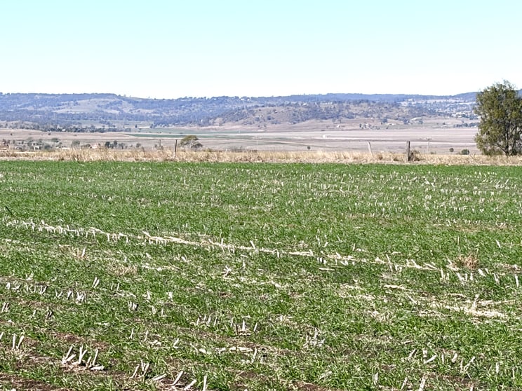 Lot 50 Rosenberger Road Wyreema QLD 4352 - Image 3