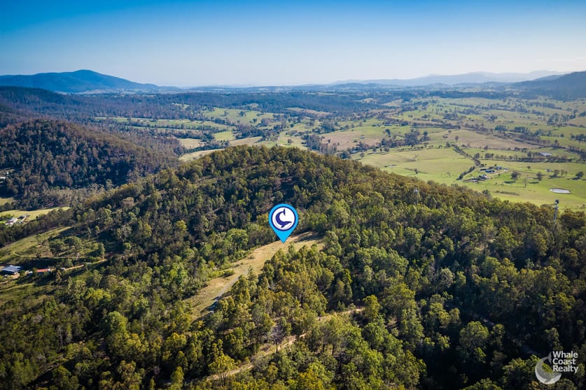 Lot 22 Barrabaroo Road Cobargo NSW 2550 - Image 3