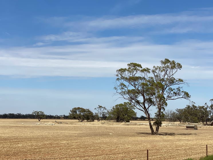 Click to view all images - Henty Highway Hopetoun VIC 3396 - Image 2