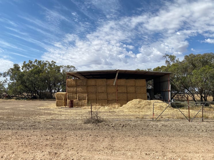 Click to view all images - Henty Highway Hopetoun VIC 3396 - Image 3