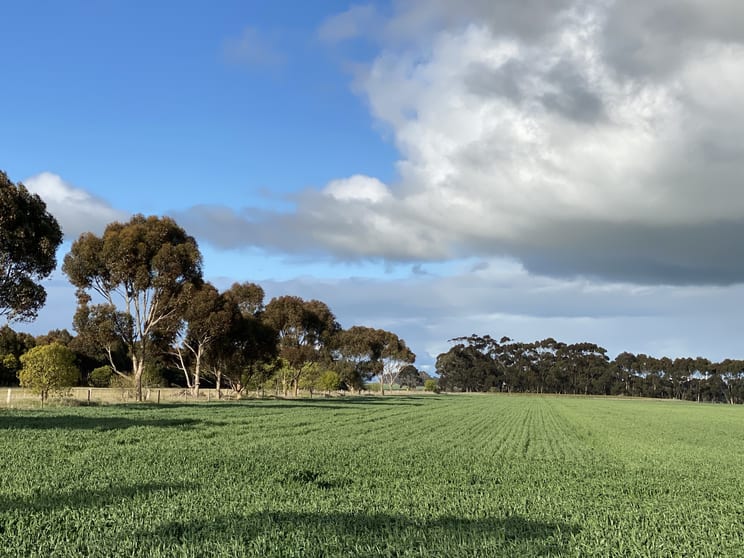 1205 Lower Darlington Road Lismore VIC 3324 - Image 2