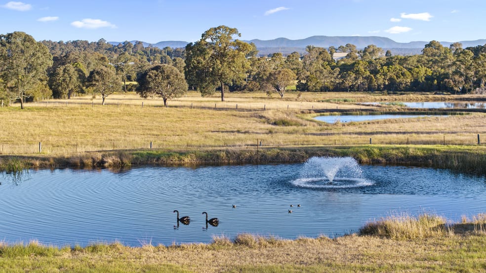 168 Lomas Lane Nulkaba NSW 2325 - Image 2