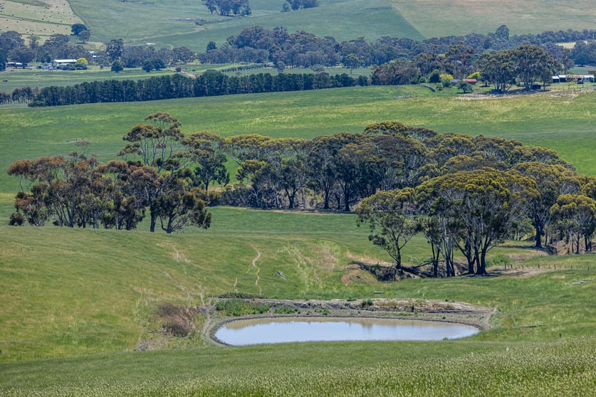Click to view all images 41 Uptons Road Wando Vale VIC 3312 - Image 2