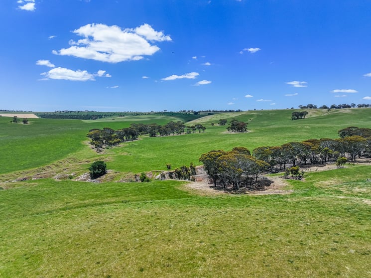 Click to view all images 41 Uptons Road Wando Vale VIC 3312 - Image 3