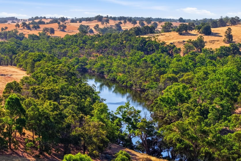 Click to view all images Lot 51 Terry Road Boyup Brook WA 6244 - Image 2
