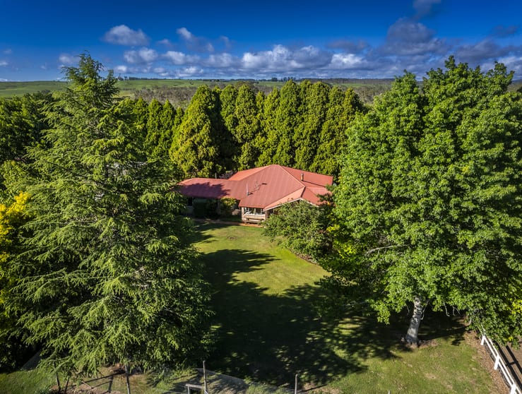 8691 Waterfall Way Road Ebor NSW 2453 - Image 2