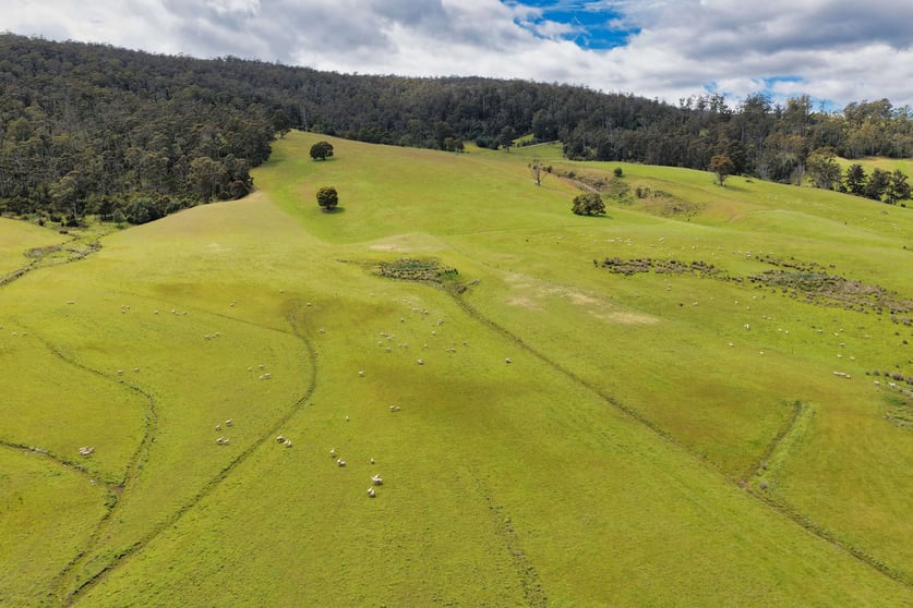 983 Bogan Road Golden Valley TAS 7304 - Image 3