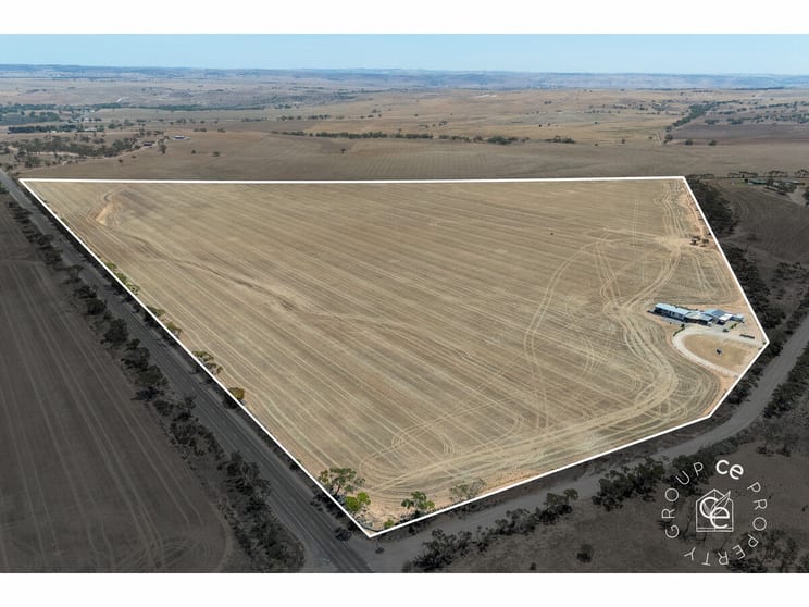 17 Marks Road Mannum SA 5238 - Image 2