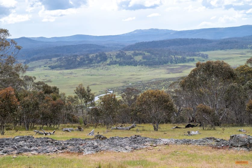 Click to view all images "Biilmann's Paddock" Nimmo Road Nimmo NSW 2628 - Image 2