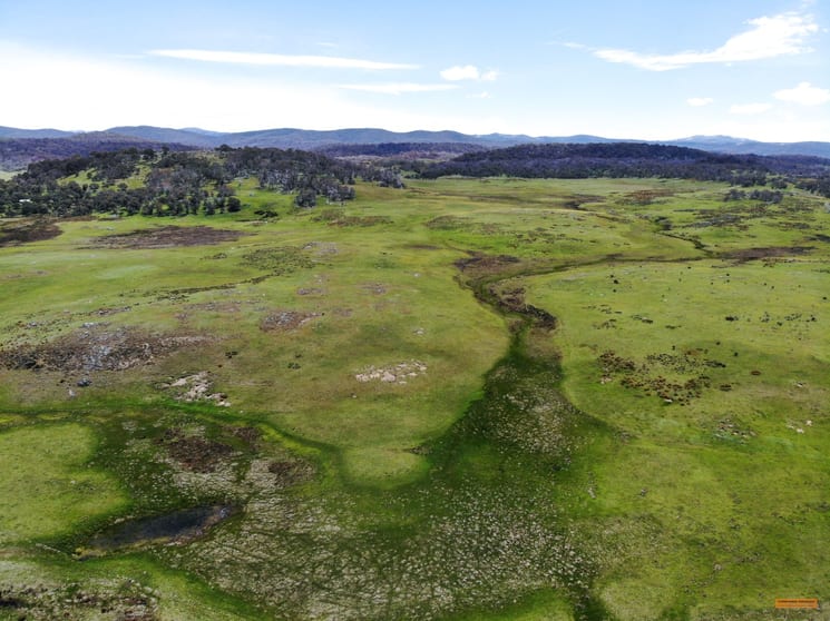 Click to view all images "Biilmann's Paddock" Nimmo Road Nimmo NSW 2628 - Image 3