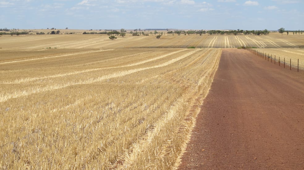 Glen Waddi, Waddy Forest Coorow WA 6515 - Image 2