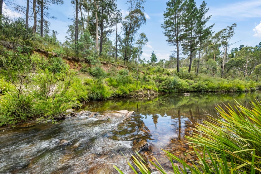 7288 Nerriga Road Oallen NSW 2622 - Image 1