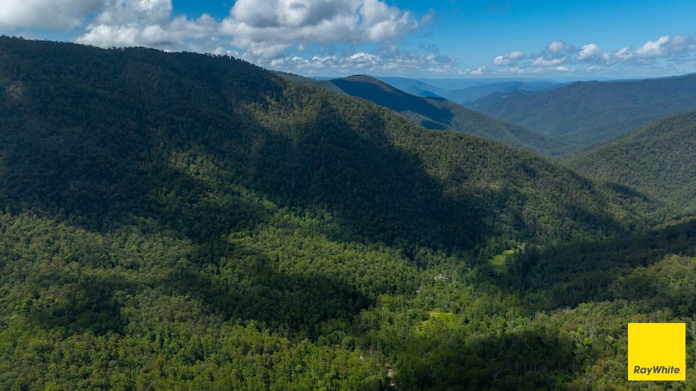 Click to view all images Dorrigo NSW 2453 - Image 2