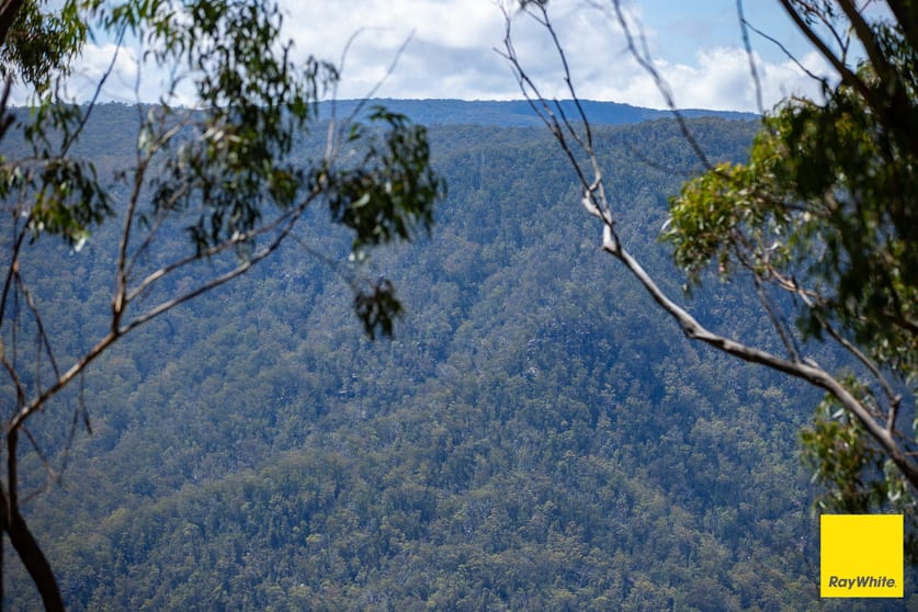 Click to view all images Dorrigo NSW 2453 - Image 3