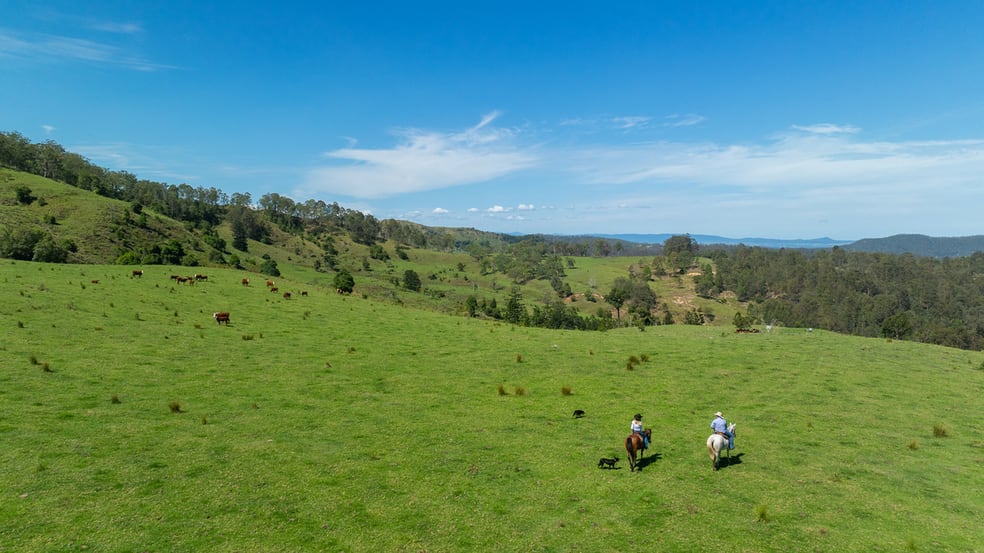 Click to view all images Bingeebeebra Creek Mummulgum NSW 2469 - Image 2
