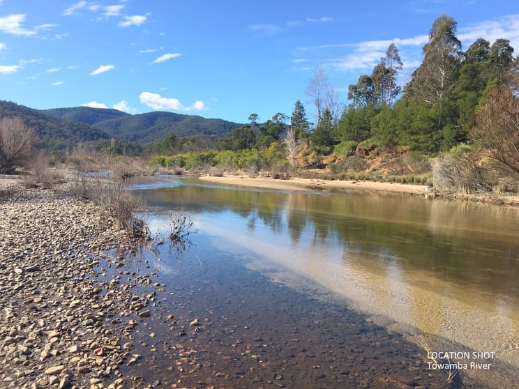 2499 Towamba Road Towamba NSW 2550 - Image 3
