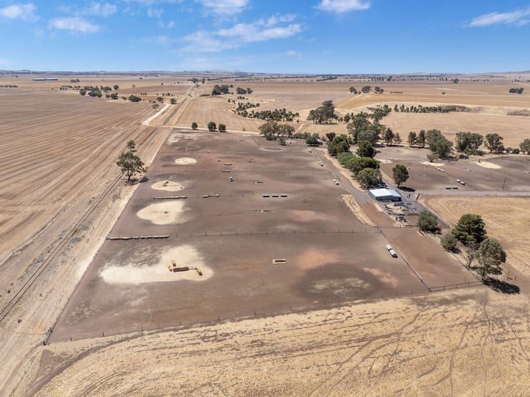 'Merilden Feedlot' Bowmans Road Manoora SA 5414 - Image 2