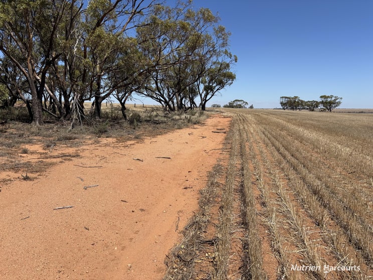 Click to view all images . 'Jurocken' Dowerin WA 6461 - Image 2