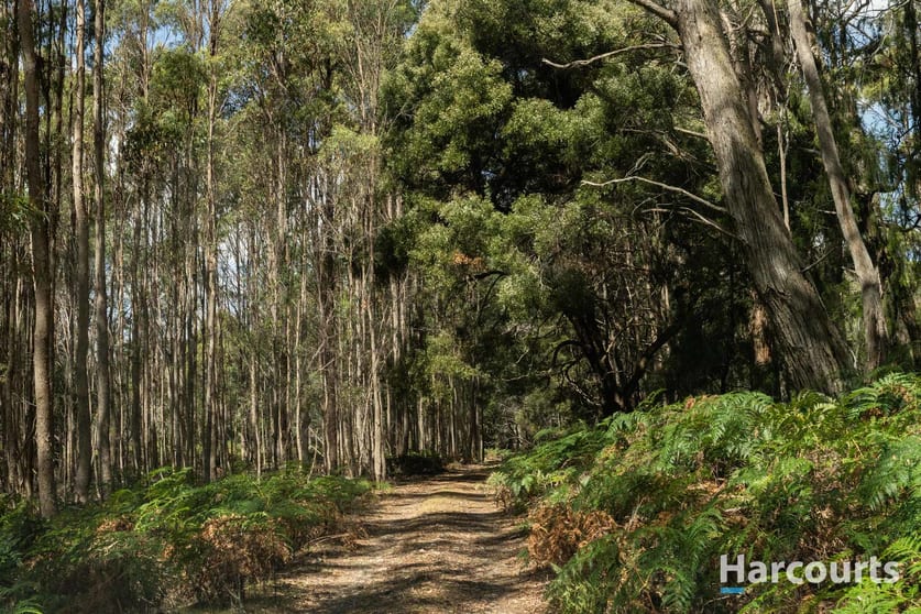 Click to view all images 46 Hawleys Lane Weegena TAS 7304 - Image 3