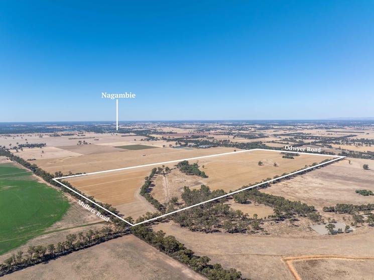 Click to view all images 96 Odwyer Road Tabilk VIC 3607 - Image 3