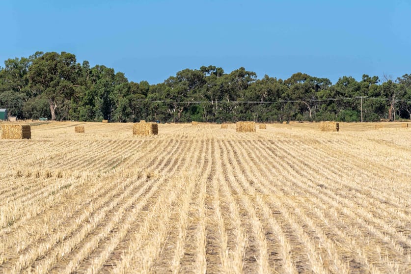 Click to view all images 96 Odwyer Road Tabilk VIC 3607 - Image 2