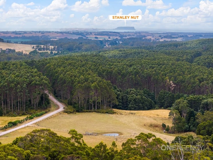 343 Tierneys Road Mengha TAS 7330 - Image 3