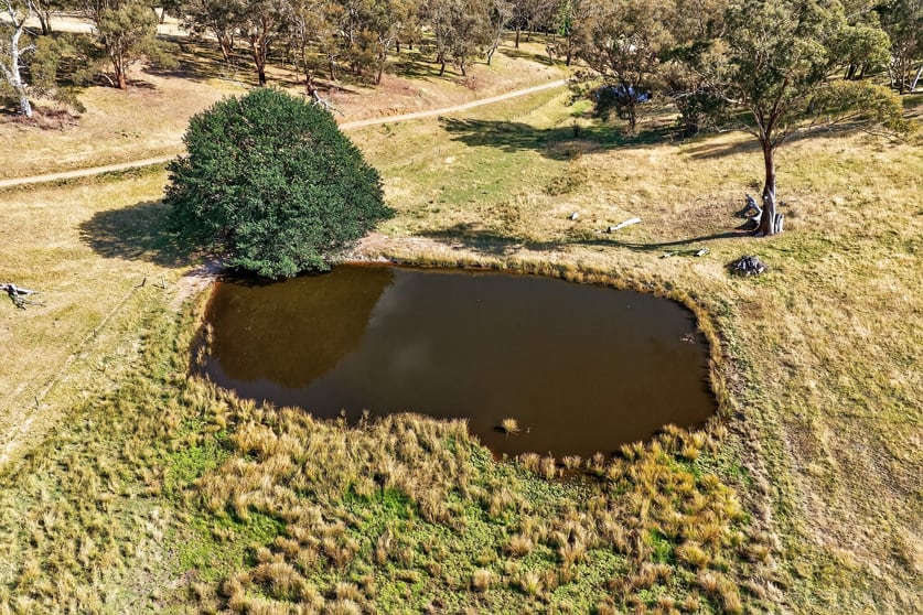 89 Ensay-Doctors Flat Road Ensay VIC 3895 - Image 3