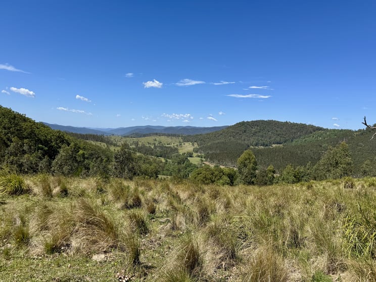 Click to view all images 1061 Eaglehawk Street Yarrowitch NSW 2354 - Image 3