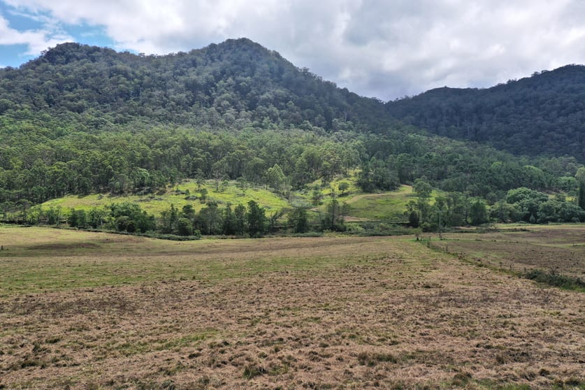 1670 Watagan Creek Road Watagan NSW 2325 - Image 2