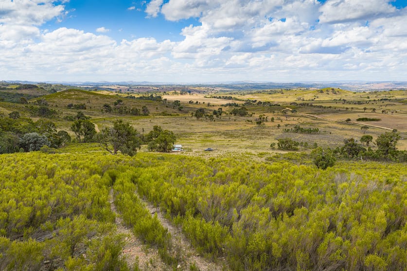 Lot 75 Maryvale Road Bevendale Via Gunning NSW 2581 - Image 3
