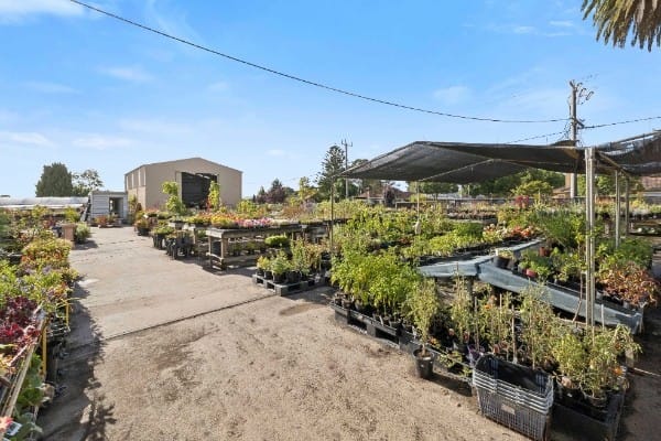 Shop & Retail  business for sale in Colac - Image 3
