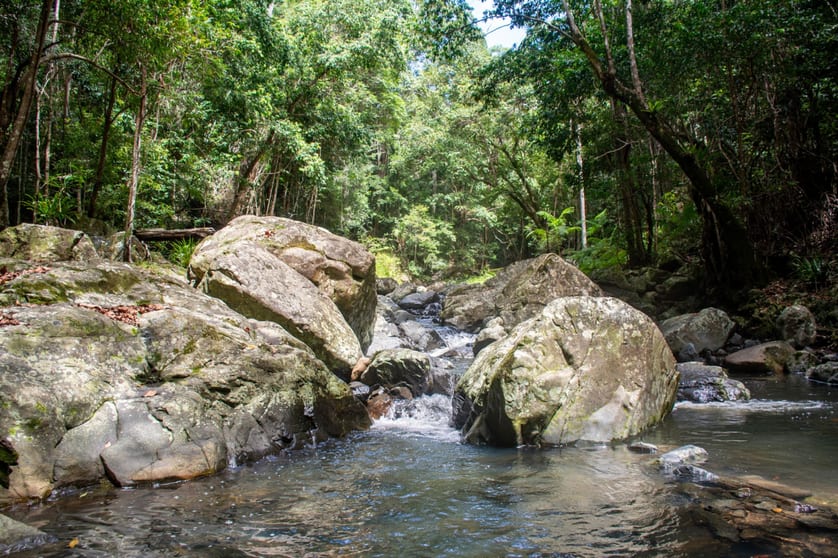 Click to view all images 1980 Maleny Stanley River Road Booroobin QLD 4552 - Image 3