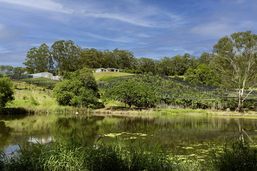 Click to view all images 654 Blackall Range Road West Woombye QLD 4559 - Image 1