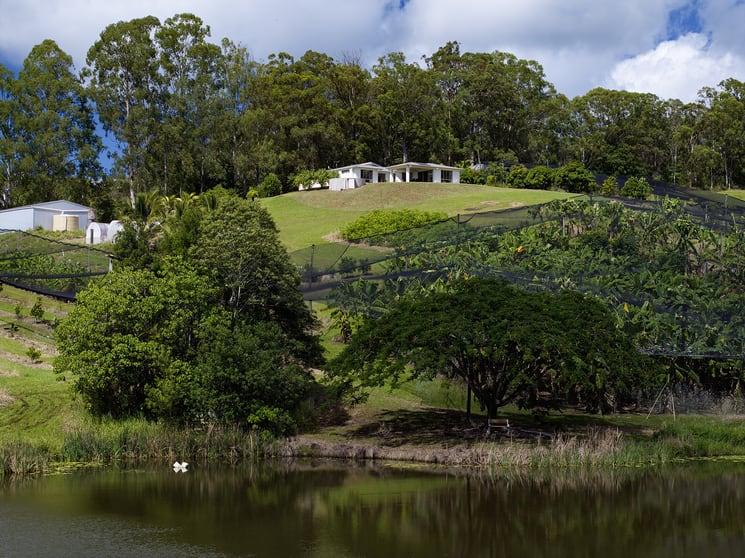 Click to view all images 654 Blackall Range Road West Woombye QLD 4559 - Image 3