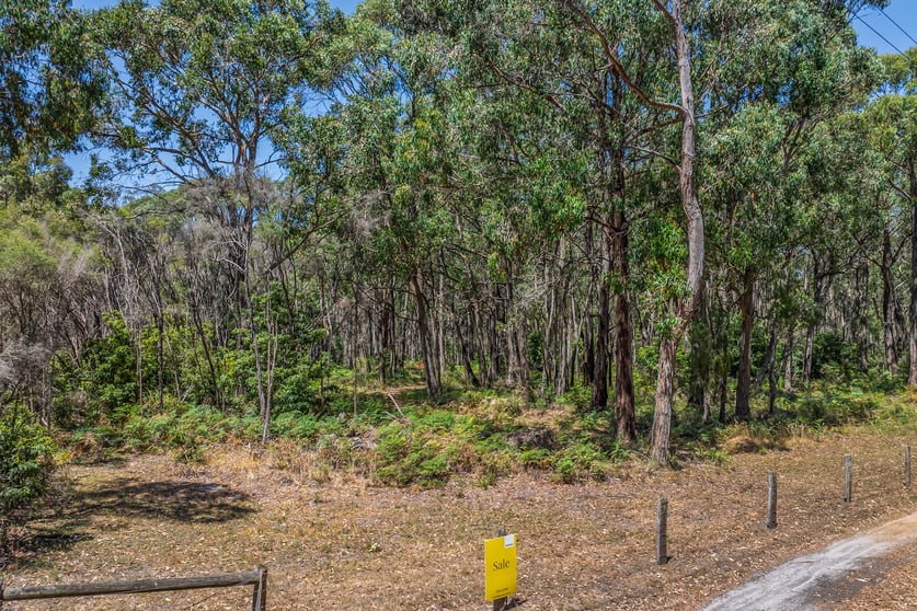 Click to view all images Lot 3, 515 Colac-lavers Hill Road Barongarook VIC 3249 - Image 3