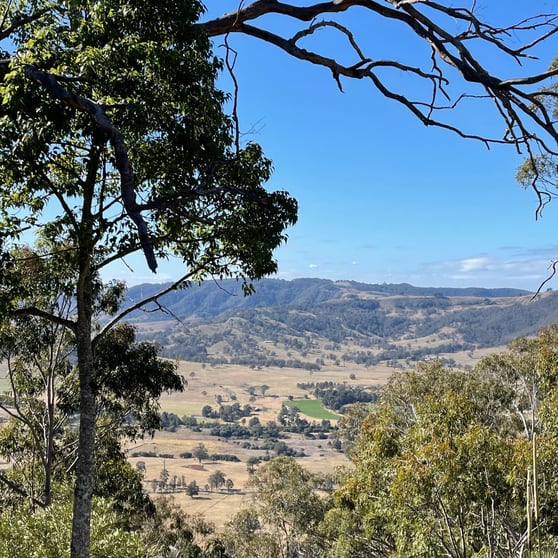 Click to view all images 1447 Gresford Road Vacy NSW 2421 - Image 2