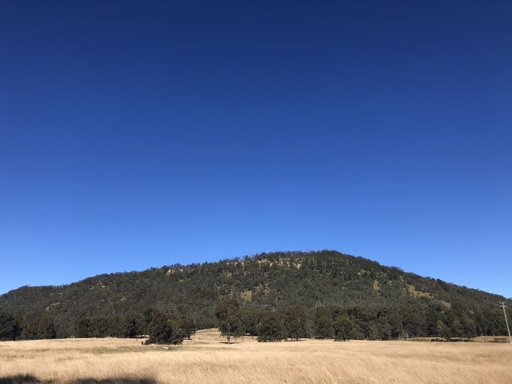 Click to view all images 1447 Gresford Road Vacy NSW 2421 - Image 3