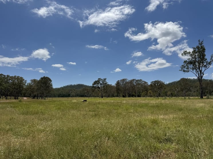 1609 Monal Road Monto QLD 4630 - Image 3