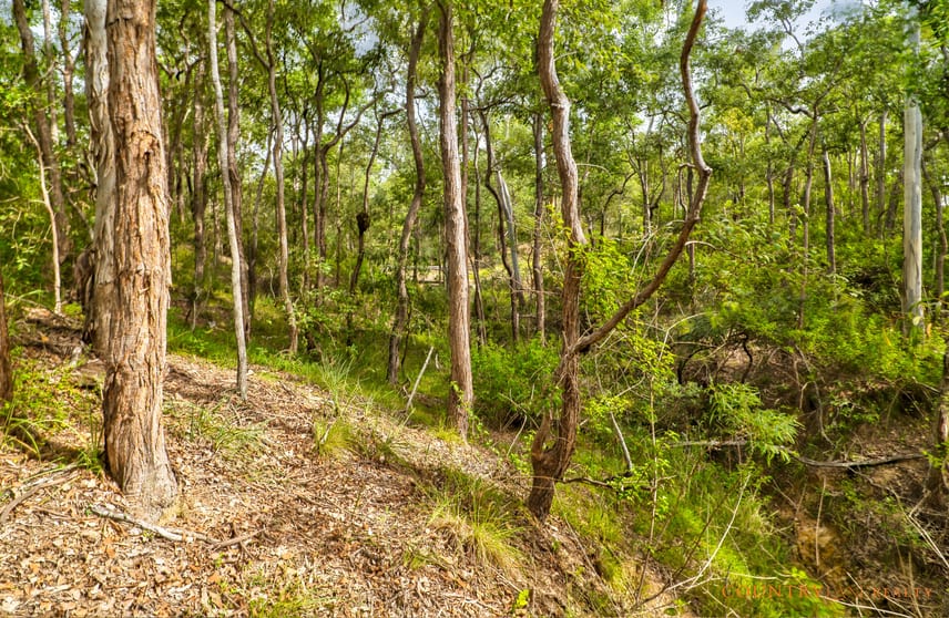 Click to view all images Lot 67 Laurel St Esk QLD 4312 - Image 1