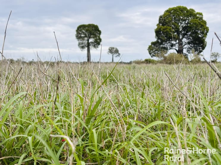 1148 Nalpa Downs Road Mitchell QLD 4465 - Image 1