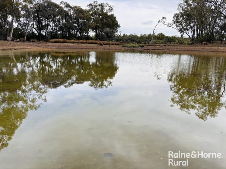 1148 Nalpa Downs Road Mitchell QLD 4465 - Image 3