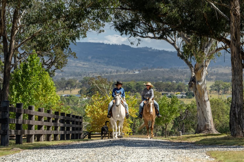 Click to view all images 1166 New England Highway Tenterfield NSW 2372 - Image 3