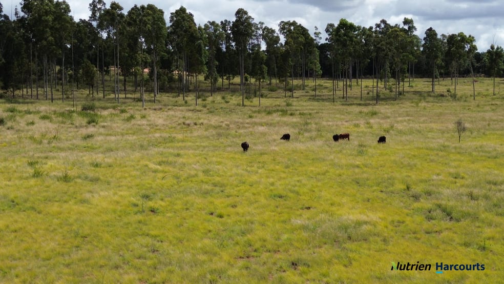 225 Beils Road Kingaroy QLD 4610 - Image 3